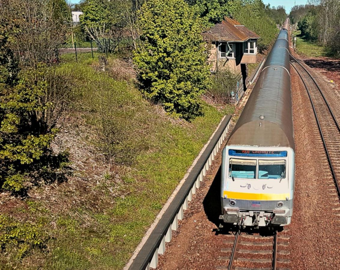 Parkvilla Bad Lausick Εξωτερικό φωτογραφία